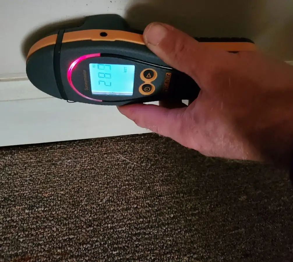 Moisture detection at baseboard during Sewage Cleanup & Sanitation in Mebane